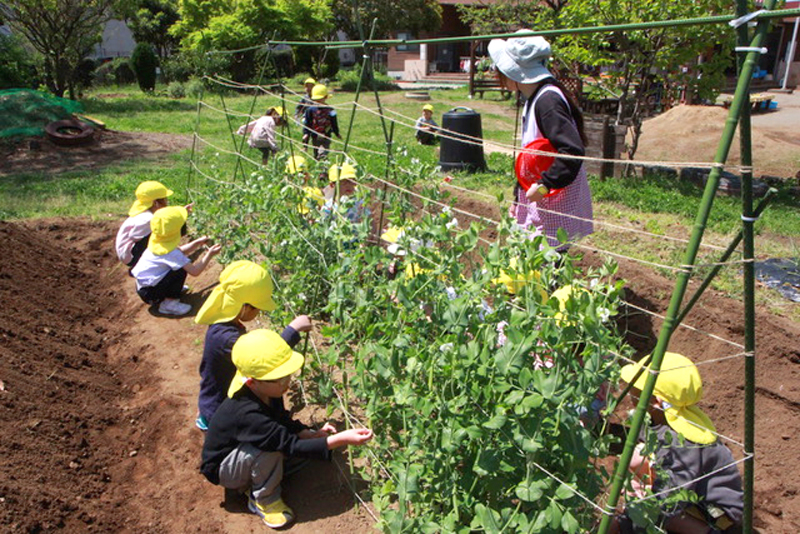 由田学園千葉幼稚園