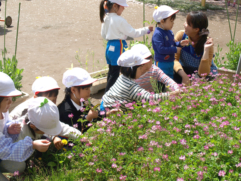弥生幼稚園