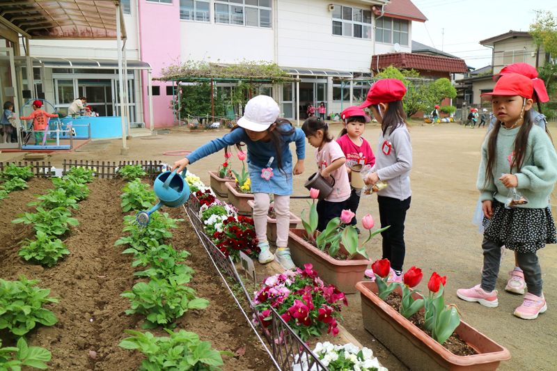 へいわ幼稚園