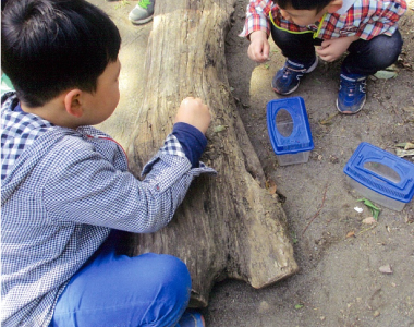 青い鳥幼稚園