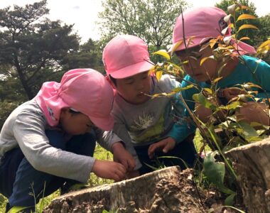 植草学園大学附属弁天こども園