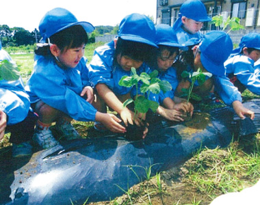 白梅幼稚園