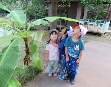 聖母マリア幼稚園