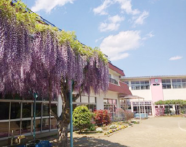 へいわ幼稚園