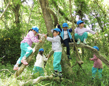 植草学園大学附属美浜幼稚園